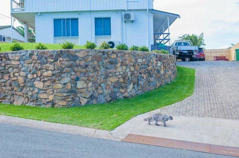 Hamilton Plains Turf - Renee 3