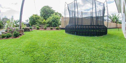 Hamilton Plains Turf - Renee 4