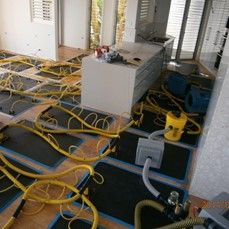 Revive Cleaning And Restoration - Renee 0