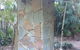 All Property Services FNQ - thumb 0
