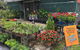 Country Garden’s Mackay - thumb 0