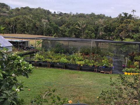 Country Garden’s Mackay - Internet Find 3