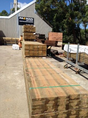 Pacman & Sons - Renee 1