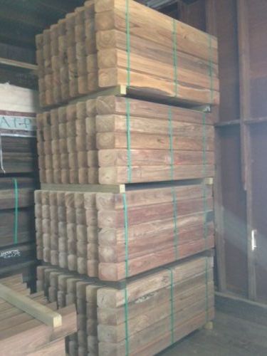 Pacman & Sons - Renee 3