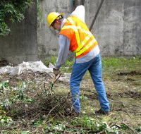 Total Vegetation Management - Petrol Stations