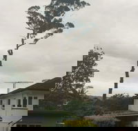 McCords Tree Services  Excavations - Renee