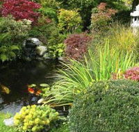 Kingscliff Hire  Landscape Supplies - Renee