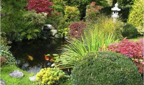 Kingscliff Hire & Landscape Supplies - Renee 0
