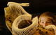 Araluen Cultural Precinct - thumb 3