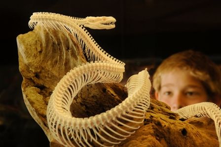 Araluen Cultural Precinct - Internet Find 3
