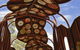 Araluen Cultural Precinct - thumb 4