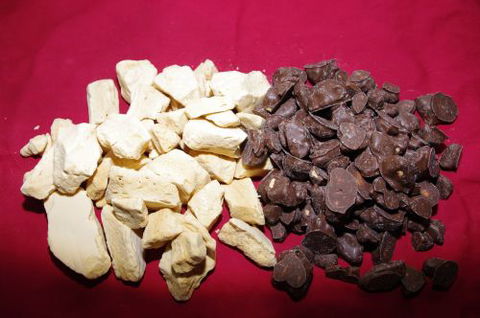 Carobana Confectionery Factory - Renee 0