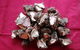 Carobana Confectionery Factory - thumb 1