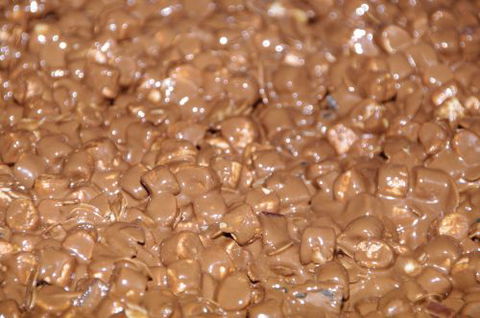Carobana Confectionery Factory - Renee 2