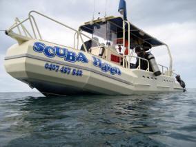Diving Port Macquarie NSW Internet Find