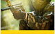 Hellfire Paintball - thumb 0