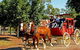 Rockhampton Heritage Village Museum - thumb 4