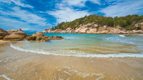 SEALINK Queensland - Renee 2