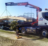 Townsville Carrying Company - Internet Find