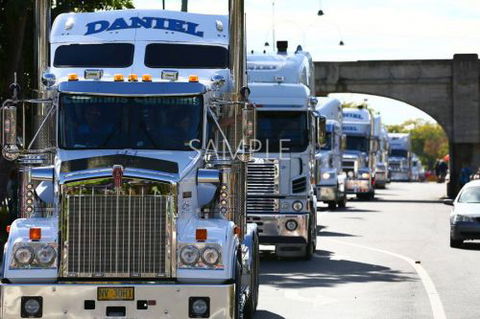 Daniel Trucking - Renee 0