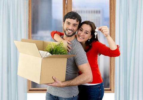 Fraser Island Removals - Internet Find 2