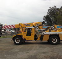 North East Cranes - Renee