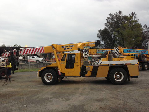 North East Cranes - Swimm 0