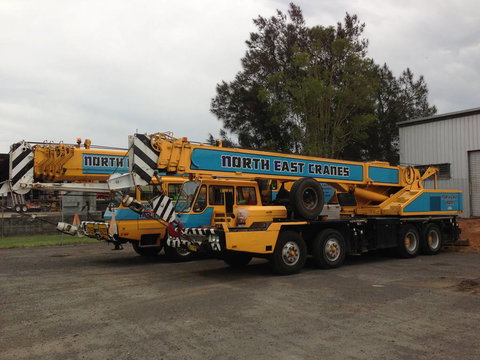 North East Cranes - Swimm 2