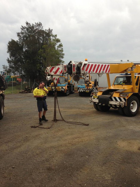 North East Cranes - Swimm 3