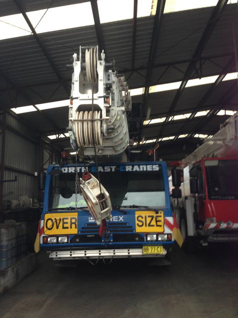 North East Cranes - Swimm 4