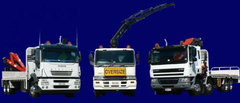 Trucking Crane Trucks - Renee 0