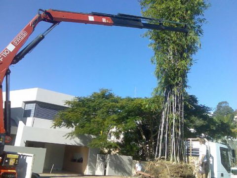 Trucking Crane Trucks - Renee 3