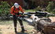 Full Tree Service & Stump Removal - thumb 0