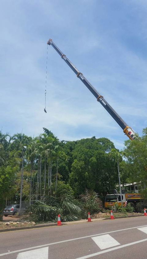 Paradise Tree Services - Internet Find 3