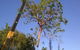 Xtreme Garden Care - thumb 0