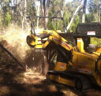 A1 Tree Service NSW Pty Ltd - Renee