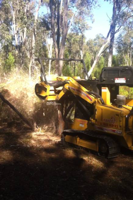 A1 Tree Service NSW Pty Ltd - Internet Find 0