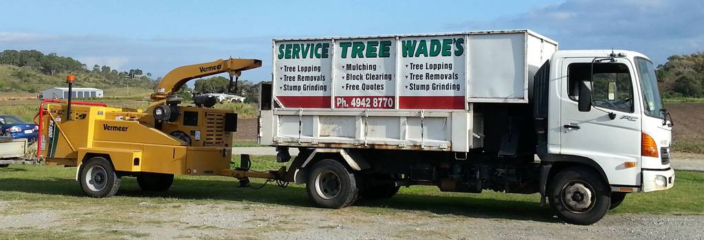 Bee Wasp Removal Internet Find