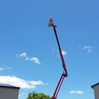 Wade’s Tree Service - Internet Find 5