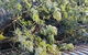 Wade’s Tree Service - thumb 6
