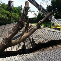 Wade’s Tree Service - Internet Find 7