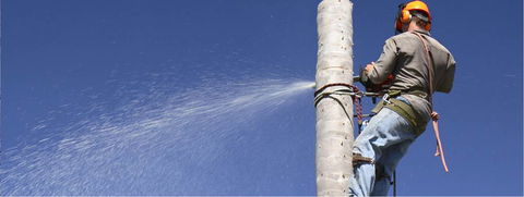 Diverse Asset Maintenance Services - Internet Find 1