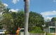Treespec CQ - thumb 3