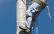 Lennox Head Tree Care - thumb 1