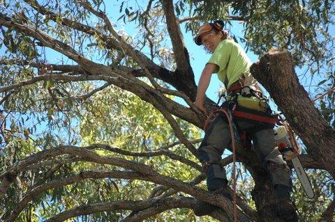 Tile Lifting Removal Bangalow NSW Renee