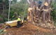 Tallow Tree Services Pty Ltd - thumb 1