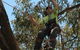 Tallow Tree Services Pty Ltd - thumb 2