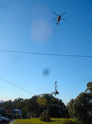 Tallow Tree Services Pty Ltd - Internet Find 3