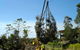 Tallow Tree Services Pty Ltd - thumb 4