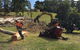 Cubis Steve–Lismore/Evans Head Tree Services - thumb 1
